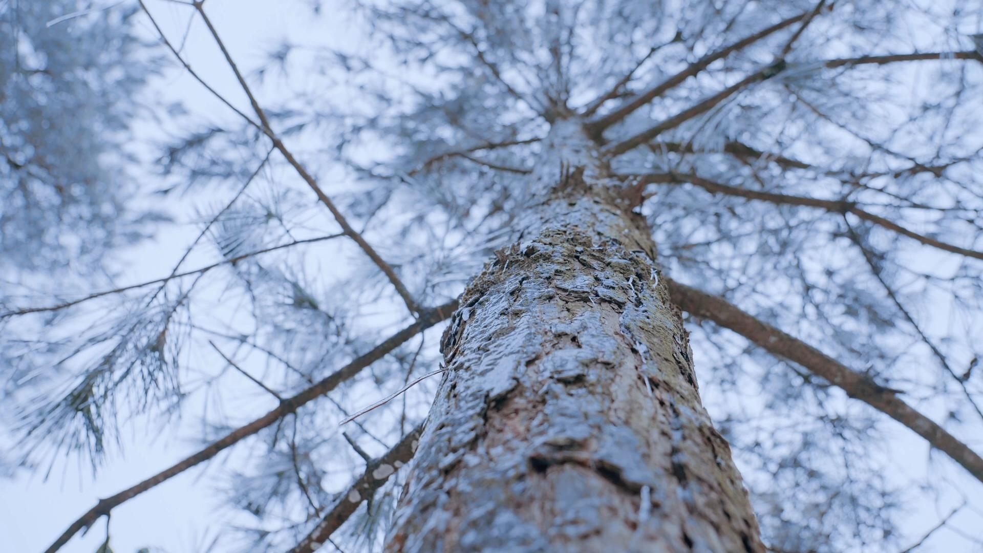 New Energy Vehicle Extreme Cold Test
